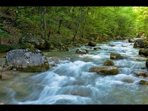 Песня 'БЕГЛАЯ РЕКА'  #Авторскаяпесня #Песниподгитару