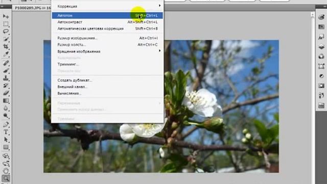 Photoshop dersleri N-3(rus dilinde) смотреть онлайн