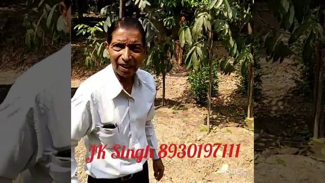 Mahagony tree смотреть онлайн