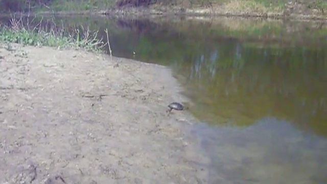 Байдарки 30.04-06.05 2011_Часть 7 смотреть онлайн