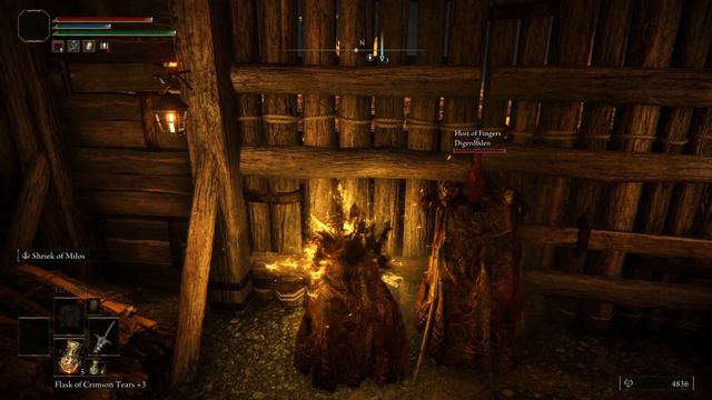 CO-OP: "ARE YOU JUST SITTING THERE WATCHING ME FIGHT?" | Elden Ring Item and Enemy Randomizer #3 смотреть онлайн