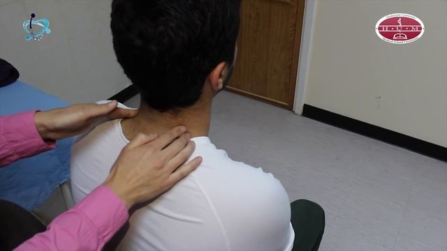 Lymph Nodes Physical Examination смотреть онлайн