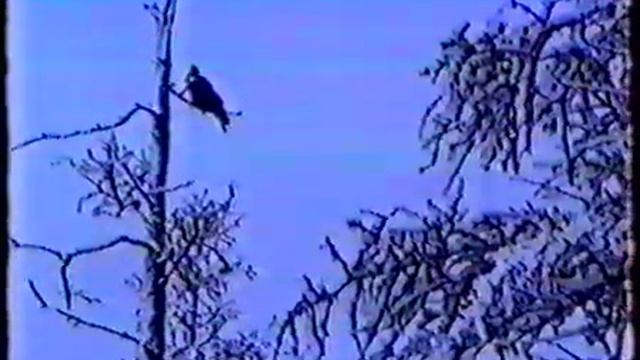 Черский 1997 смотреть онлайн