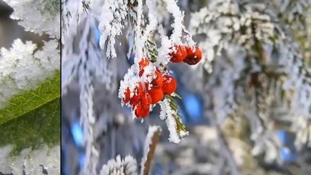 ЭТОТ ИНЕЙ - САМЫЙ СИНИЙ смотреть онлайн
