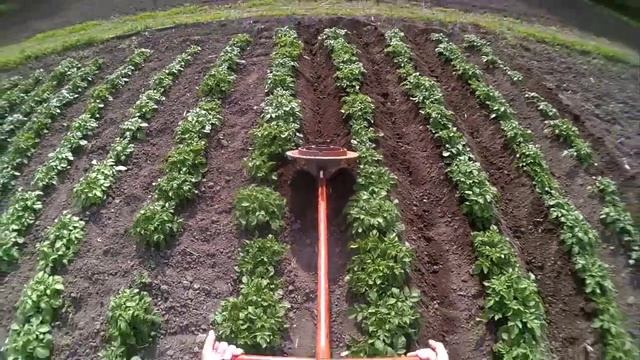 окучивание картошки смотреть онлайн