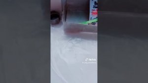 подборка видео про бумажных собак