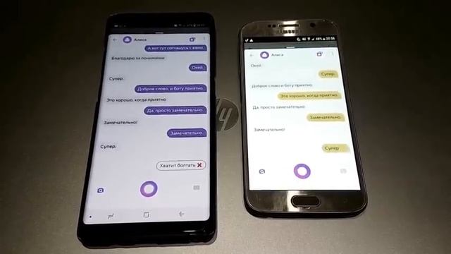 Кто создал организмы – бог, природа или команда биоинженеров? Примеры, факты, доводы и версии. смотреть онлайн