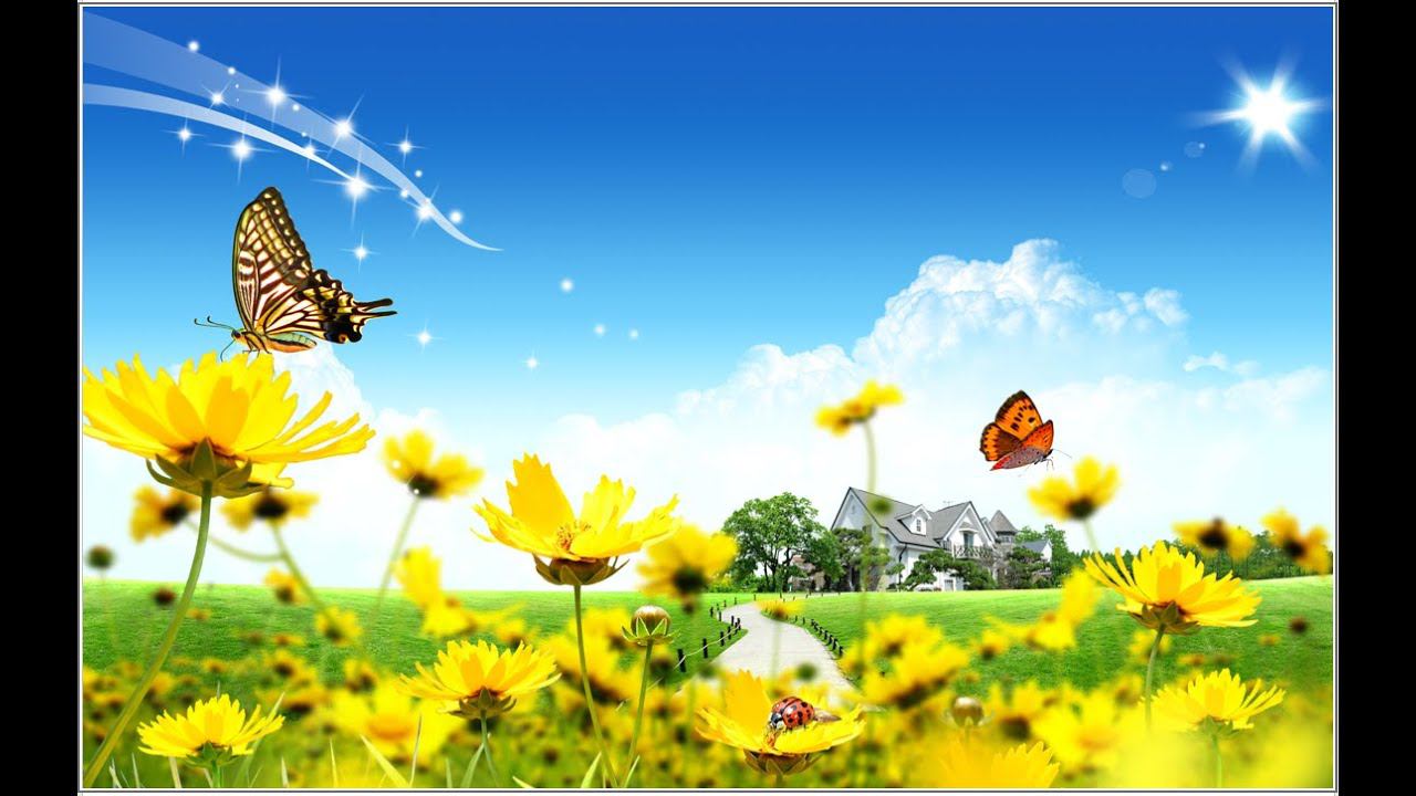 СоТворение новой реальности + Денежная настройка 30.05.2021 смотреть онлайн