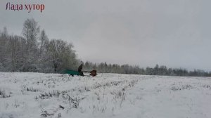 Испытание, грунтозацепы для мотоблока #мотоблок#грунтозацепы#зима#колесо###