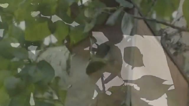 Читаем стихи на даче. Грустная история от Николая Полотнянко. смотреть онлайн