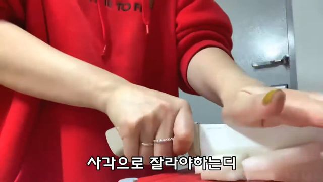 [SUB] VLOG 자취생브이로그/계란말이의 흑역사, 그리고 소고기뭇국, 길고양이와의 만남 смотреть онлайн