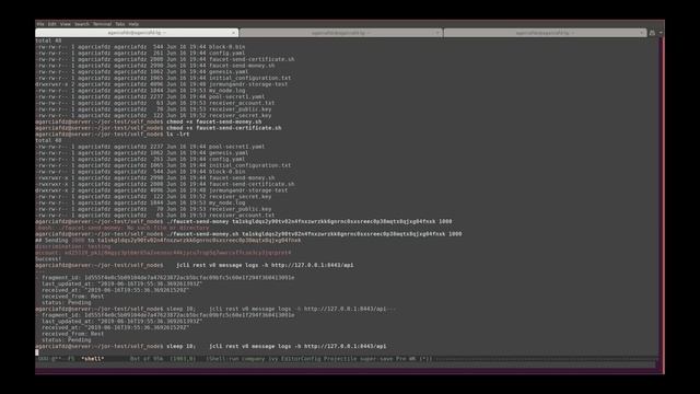 03 Jormungandr send transactions (Shelley self-node testnet) смотреть онлайн