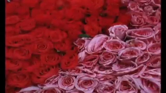 Поздравление Ларисе смотреть онлайн