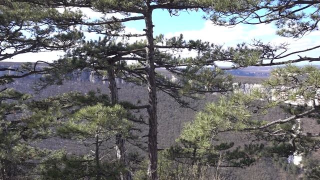 Тот дом под фортепиано тренировочный