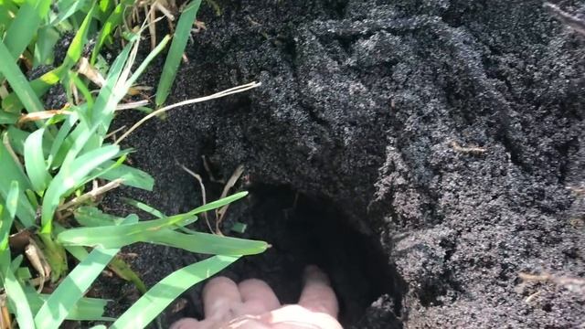 You Won't Believe What We Found In Florida! Metal Detecting Finds Seminole War Treasures! смотреть онлайн