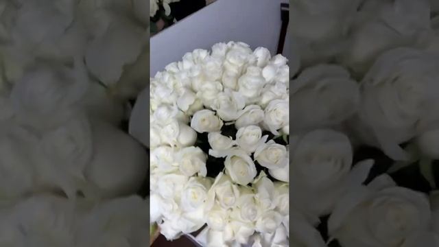 Букет из белых роз, достойна я любых красот смотреть онлайн