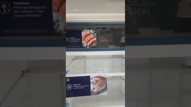 KULKAS ETB2502JA ULTIMATE TASTE ELECTROLUX HEMAT LISTRIK