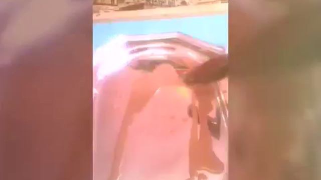 ЖИВАЯ АЗБУКА ОТ КАНАЛА  НИНЫ САЖЕНЦЕВОЙ  - БУКВа П