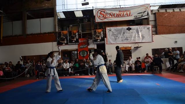 Copa Oishi Hanshi So Kyokushin Argentina 2017 48 смотреть онлайн