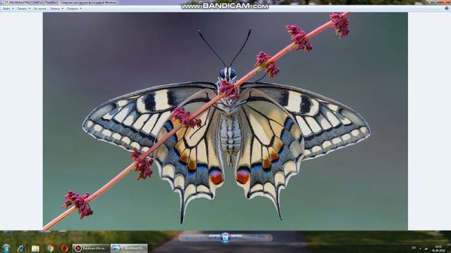 Emili Grant - М.Н.М смотреть онлайн