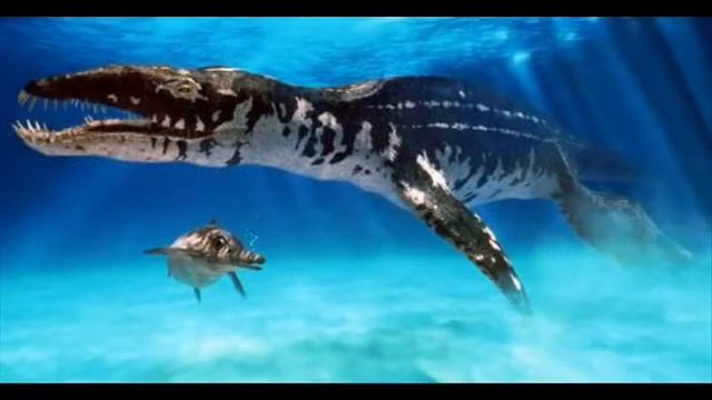 Latimeria Chalumnae Alive смотреть онлайн