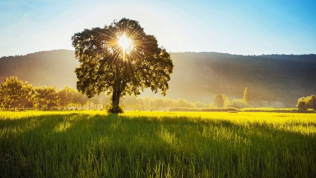 Исцеление родовых программ, медитация, энергетическая практика смотреть онлайн