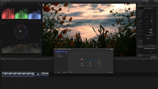 Fujifilm F-LOG Color Grading Tutorial // X-T4, X-T3, X-H1, X-S10 & X-T30 смотреть онлайн
