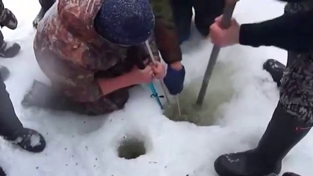 Самый огромный сазан пойман смотреть онлайн