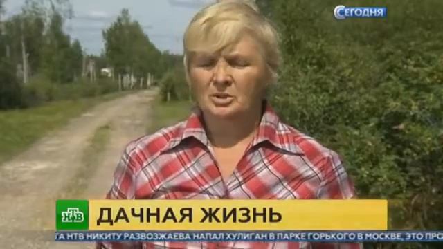 Главные садоводы страны разъяснили положения «дачной конституции» смотреть онлайн