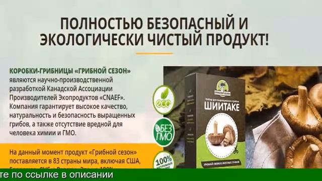 Грибы Вешенки, Белые, Шампиньоны И Многие Другие - Выращивание В Домашних Условиях смотреть онлайн