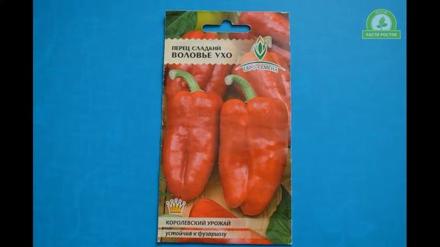 Обзор сортов семян перцев #2 смотреть онлайн