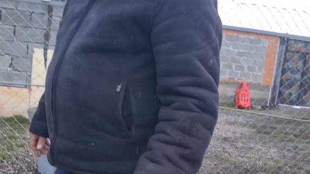 За что хотят кастрировать собаку?))/Переполох в собачьей семье смотреть онлайн