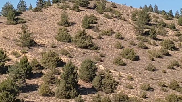 Мысли вслух когда больно на душе.