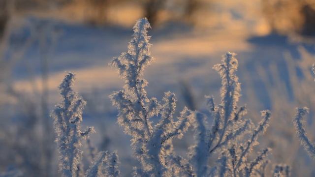 "АХ ТЫ, НОЧЕНЬКА"... (Фото Надежды Лавровой (Фрязино, Моск. обл.) - Хор им. Пятницкого) смотреть онлайн