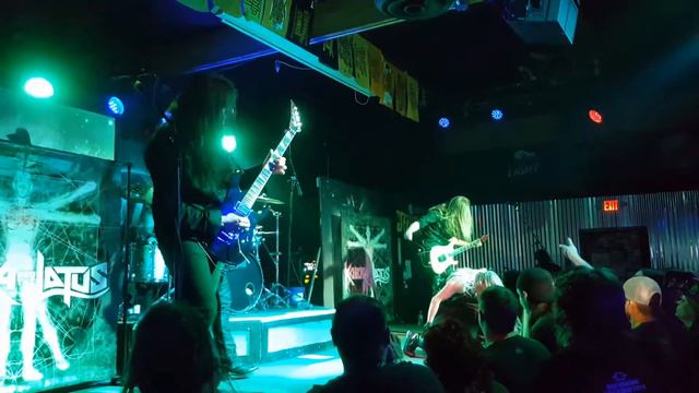 Kobra and the Lotus 5/26/2017 смотреть онлайн