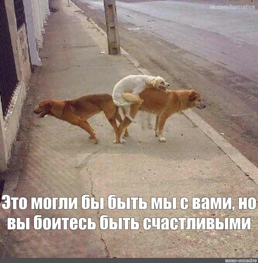 Подборка смешное видео- Funny Video