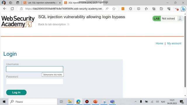 SQL injection login bypass смотреть онлайн