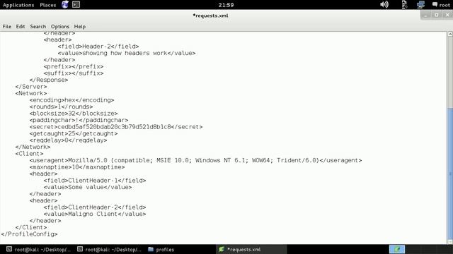 Maligno Video Series - Network Communications - Payload смотреть онлайн
