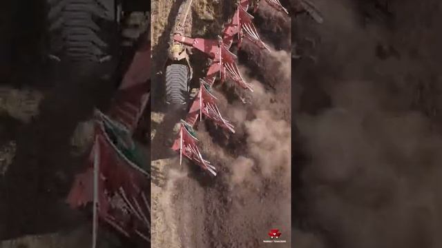 Директор «Агрофирмы Русь»: Сельское хозяйство – отдушина, я получаю от работы удовольствие!