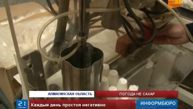 Свекловоды Алматинской области из-за обильных дождей не могут вывезти с полей урожай смотреть онлайн