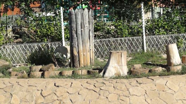 Ижевск смотреть онлайн