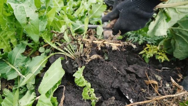 Учебник по Творчеству