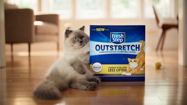 "Do Less" | Introducing All-New Fresh Step Outstretch™ | :30 смотреть онлайн