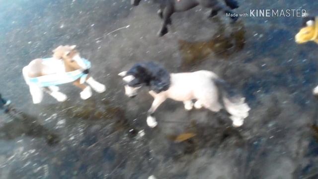 Фото лошадок шляйх и не только)) смотреть онлайн