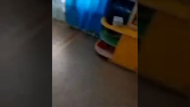 6 августа 2019 г. смотреть онлайн