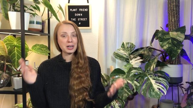 Got Bacterial & Fungal Spots? Try These Tricks! смотреть онлайн