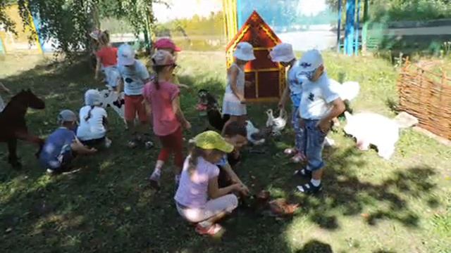 Объекты экологической тропы на территории детского сада. смотреть онлайн