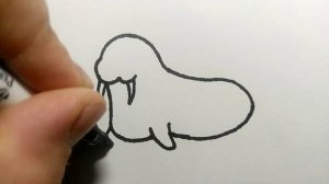 Как нарисовать моржа