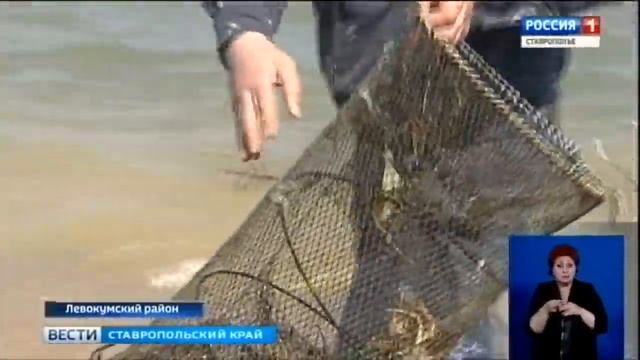 Браконьеры ловят рыбу - полиция браконьеров смотреть онлайн