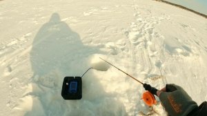 ОКУНЬ НЕ УСТОИТ! Два балансира для ловли окуня зимой. Зимняя рыбалка 2021-22